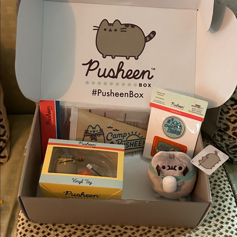 Pusheen Box with Gray and Tan Plush and Vinyl Toy